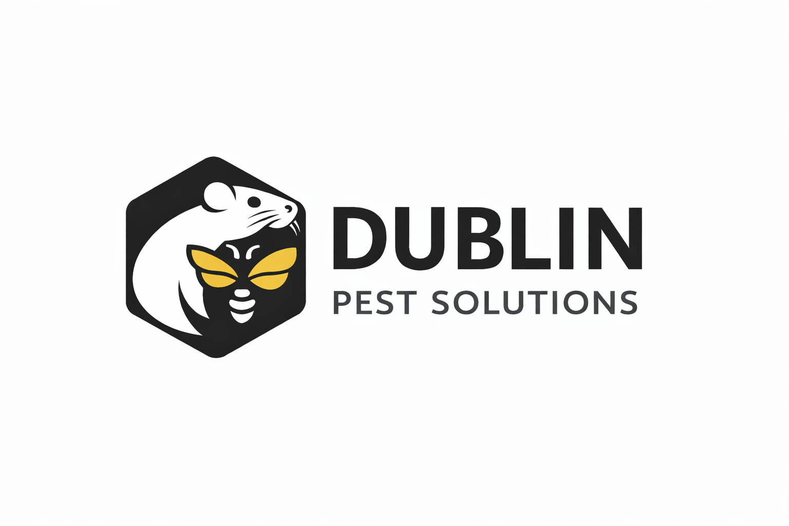 Dublin Pest Solutions