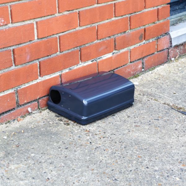 Professional bait station
